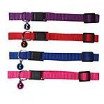 Cat Collars, Harnesses and ID Tags