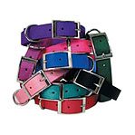 Dog Collars, Leashes and ID Tags