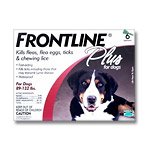 Dog Flea and Tick