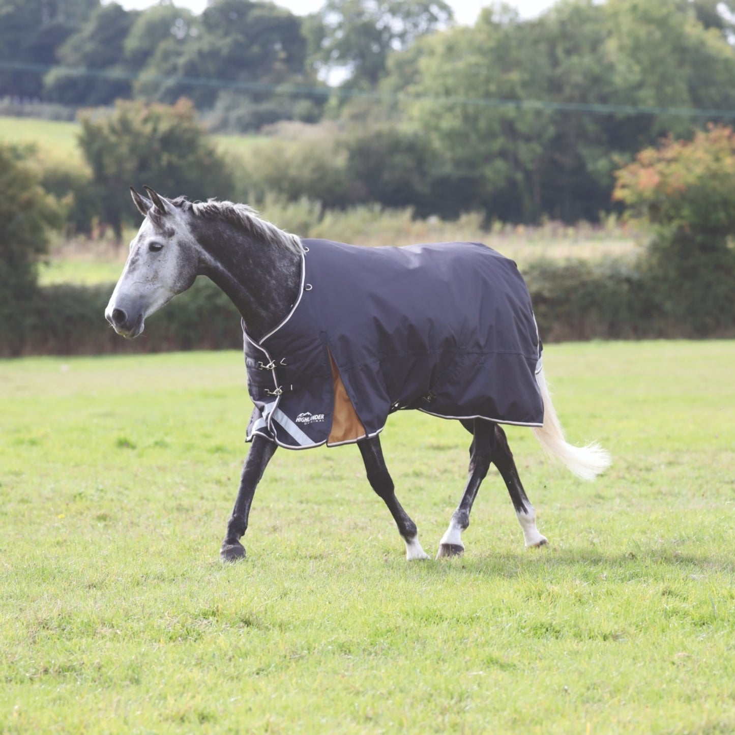 4-352062-grey.jpg