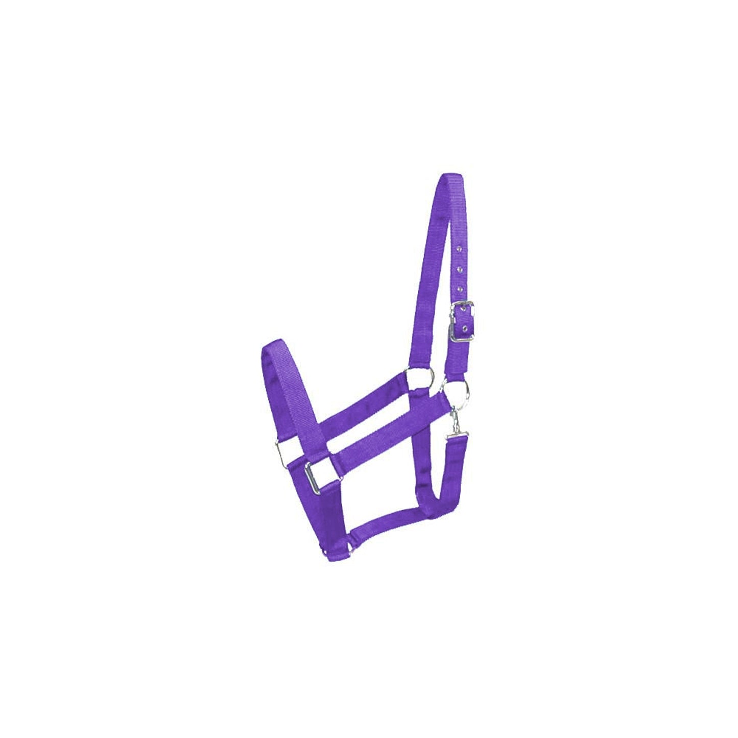 5-111575_purple.jpg