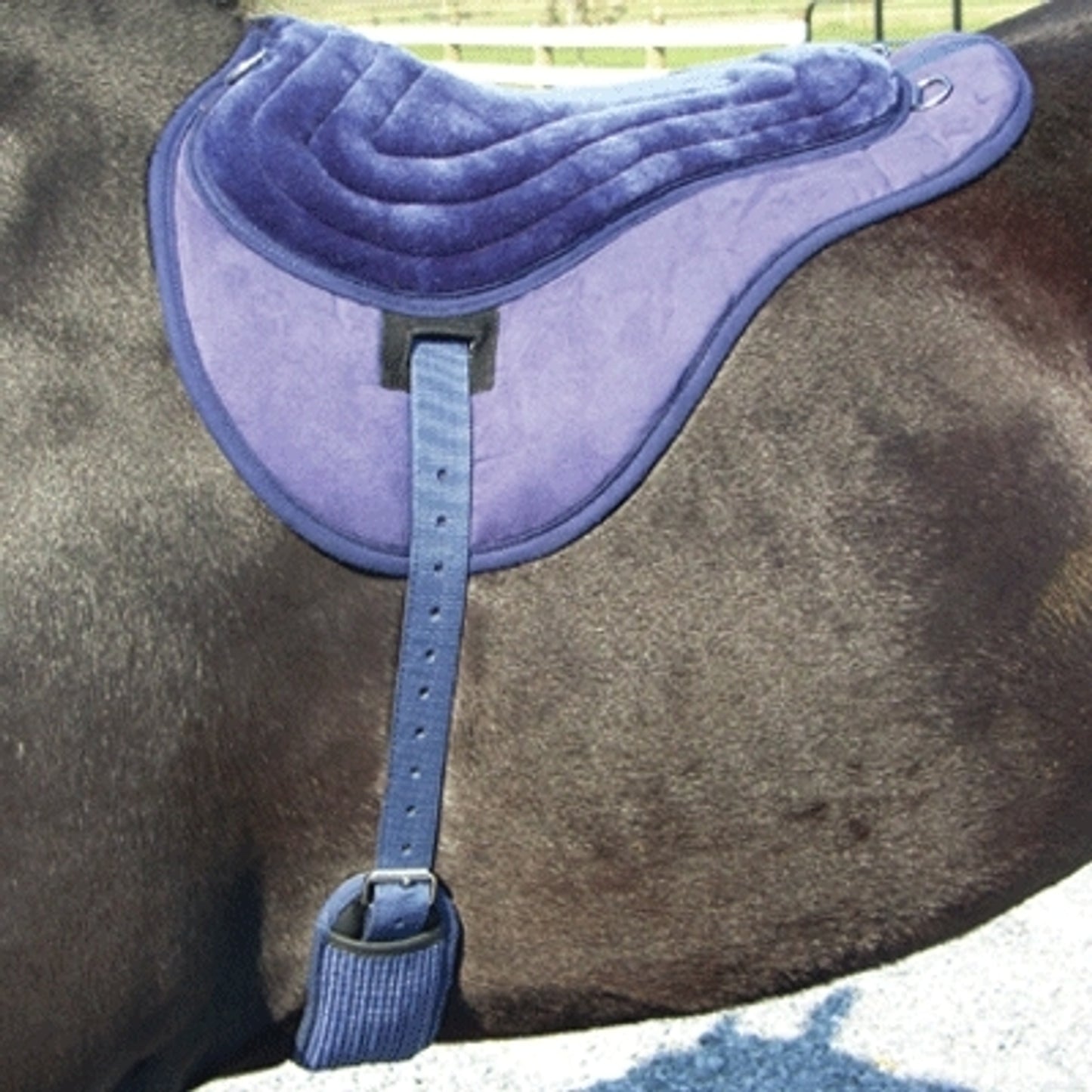5-584884.jpg