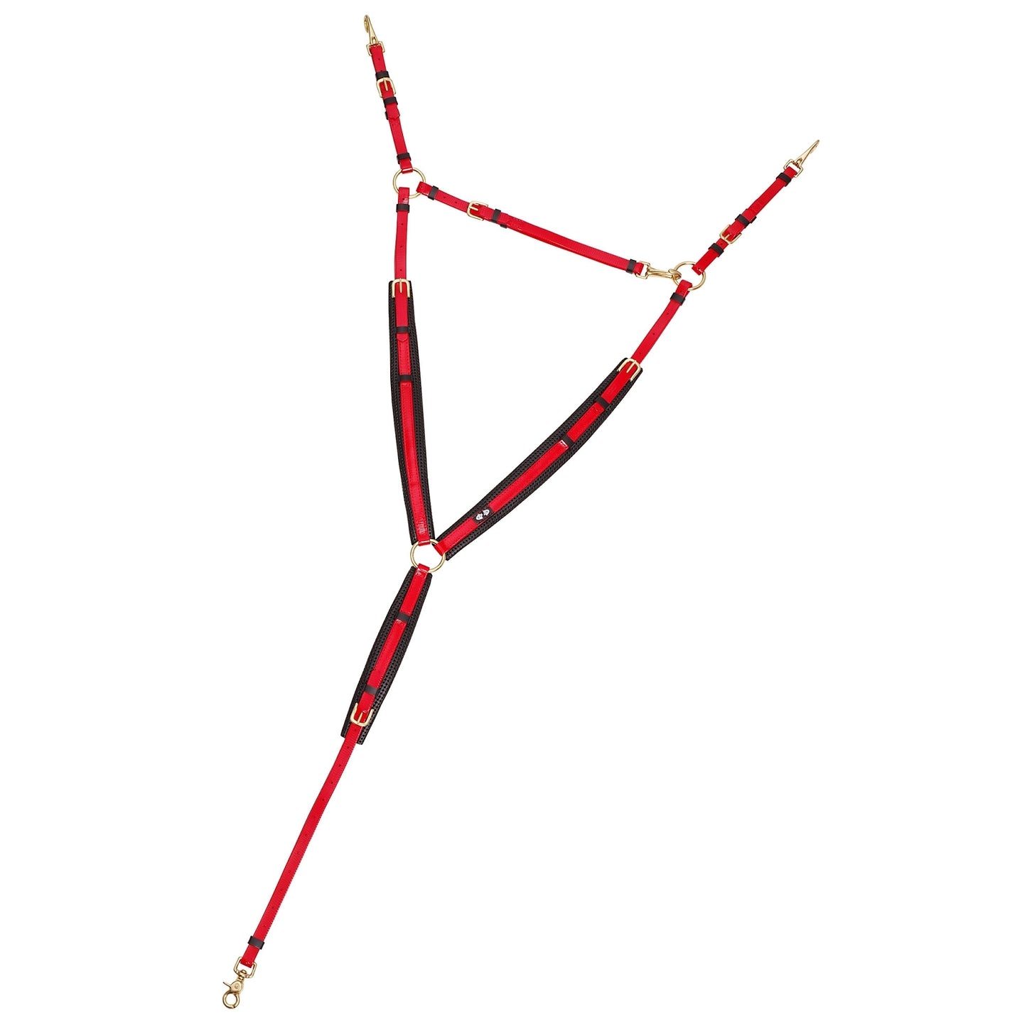 5-644310.jpg