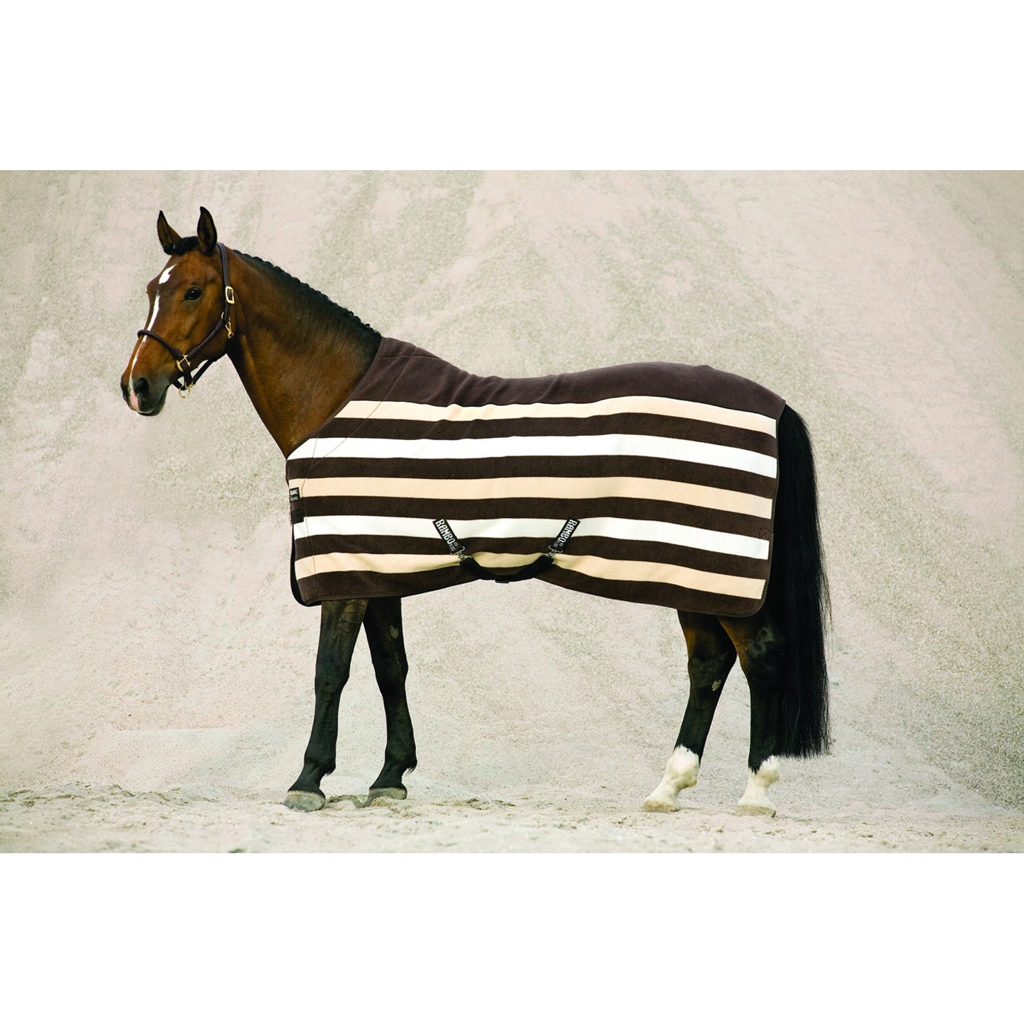 5-658128-whitneystripechocolate.jpg