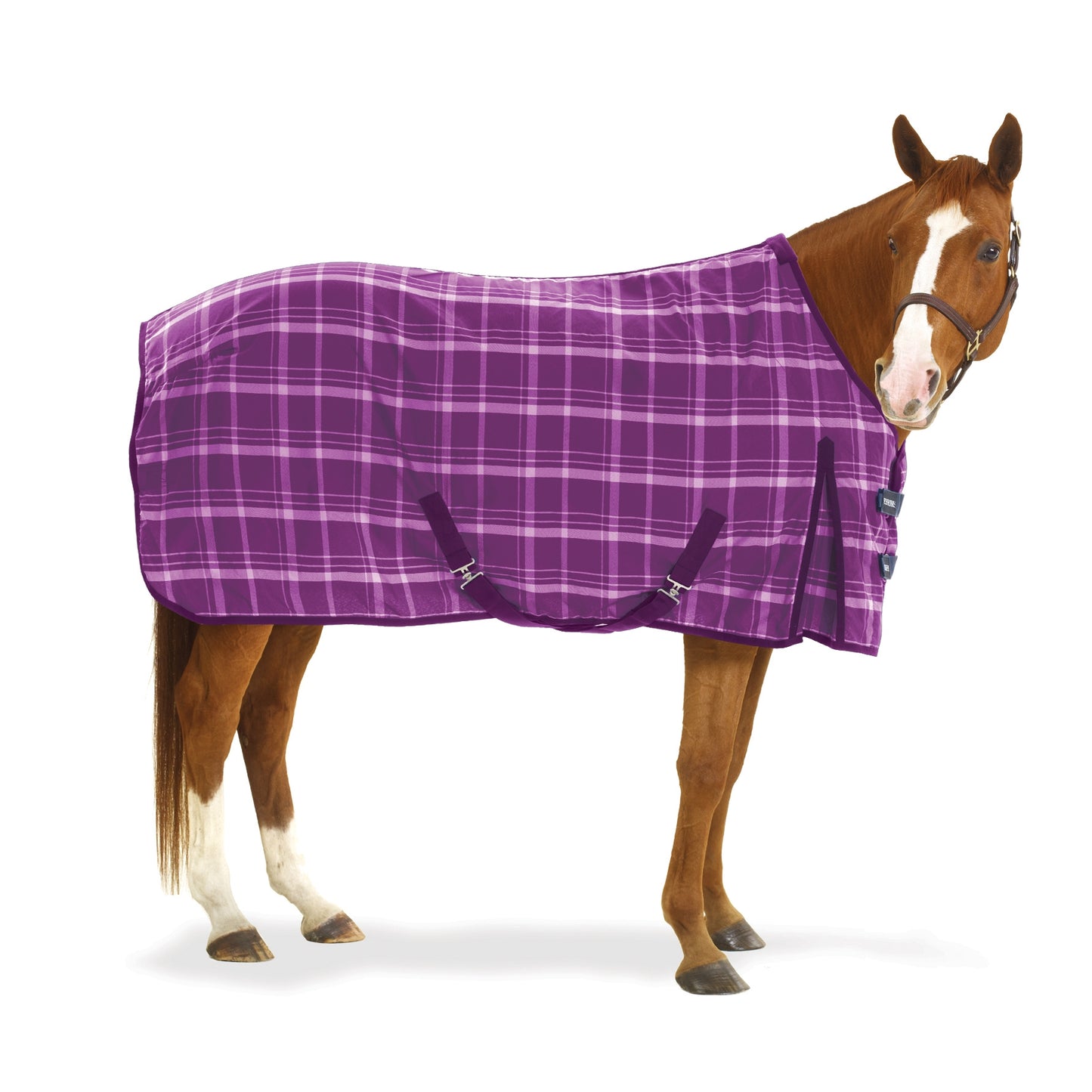 5-692038-purpleplaid.jpg