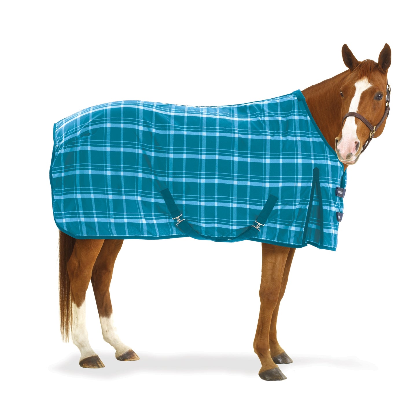 5-692038-turquoiseplaid.jpg
