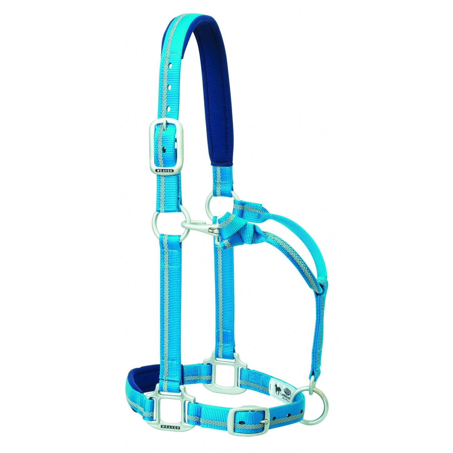 5-876294-blue.jpg