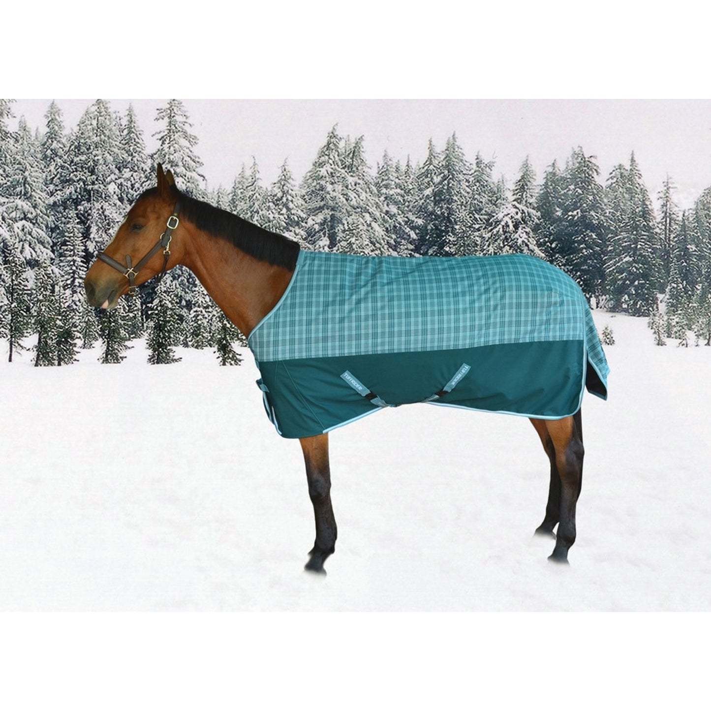 5-894036-deeptealtealplaid.jpg