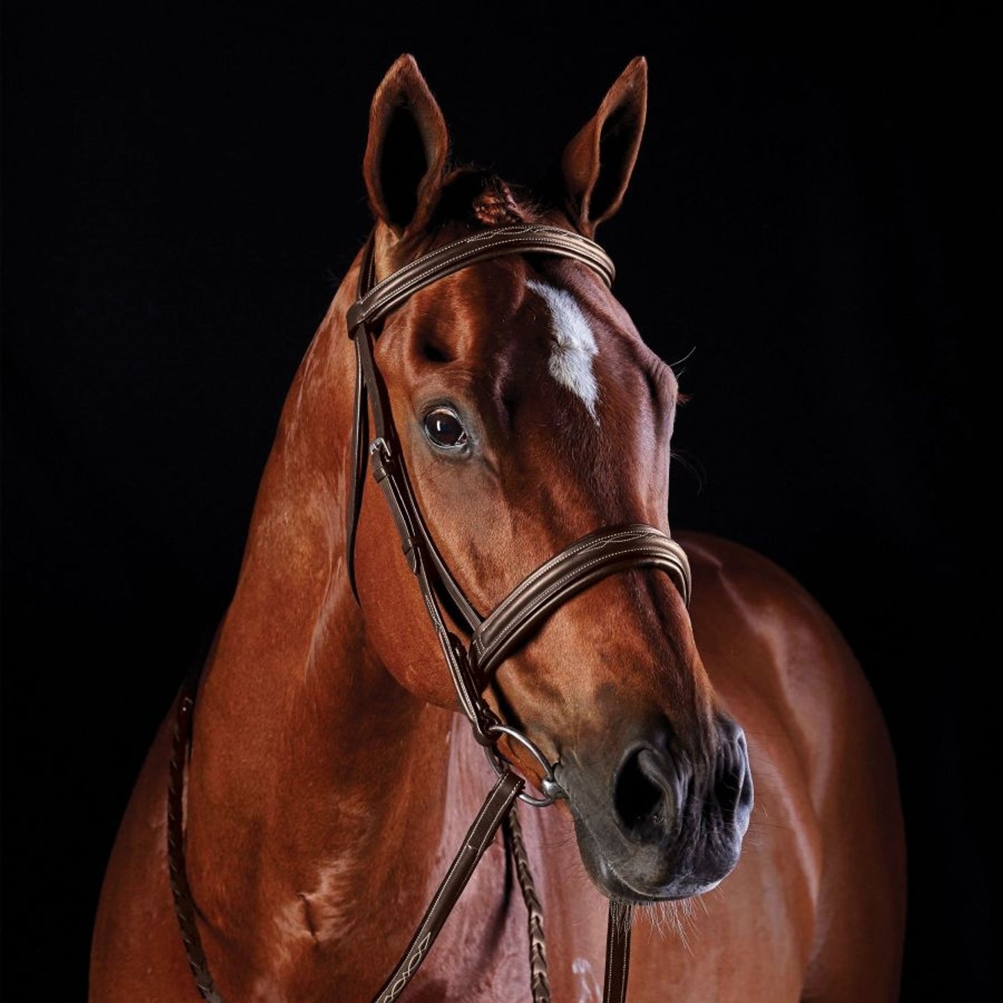 5-939845-brown.jpg