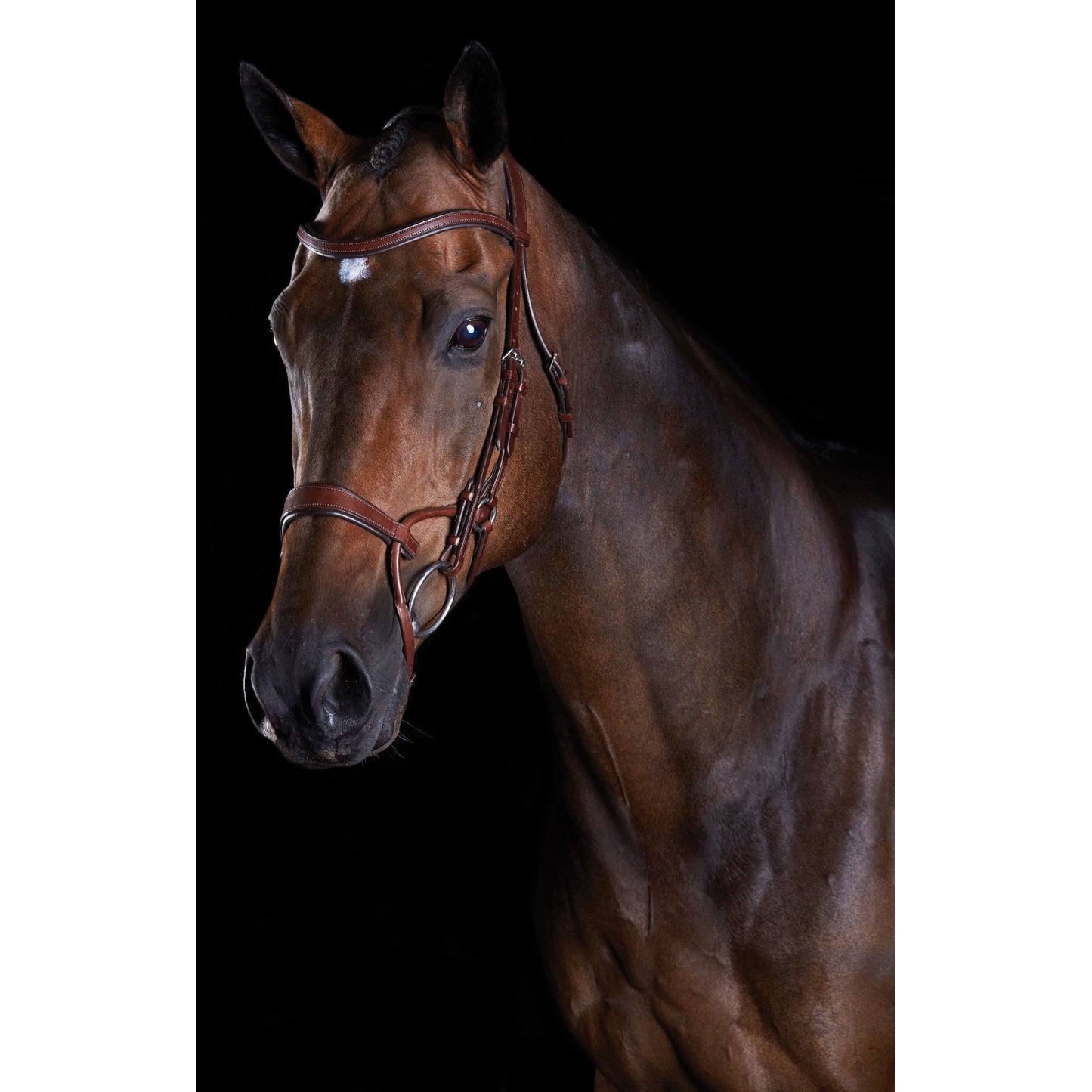 5-939995-brown.jpg