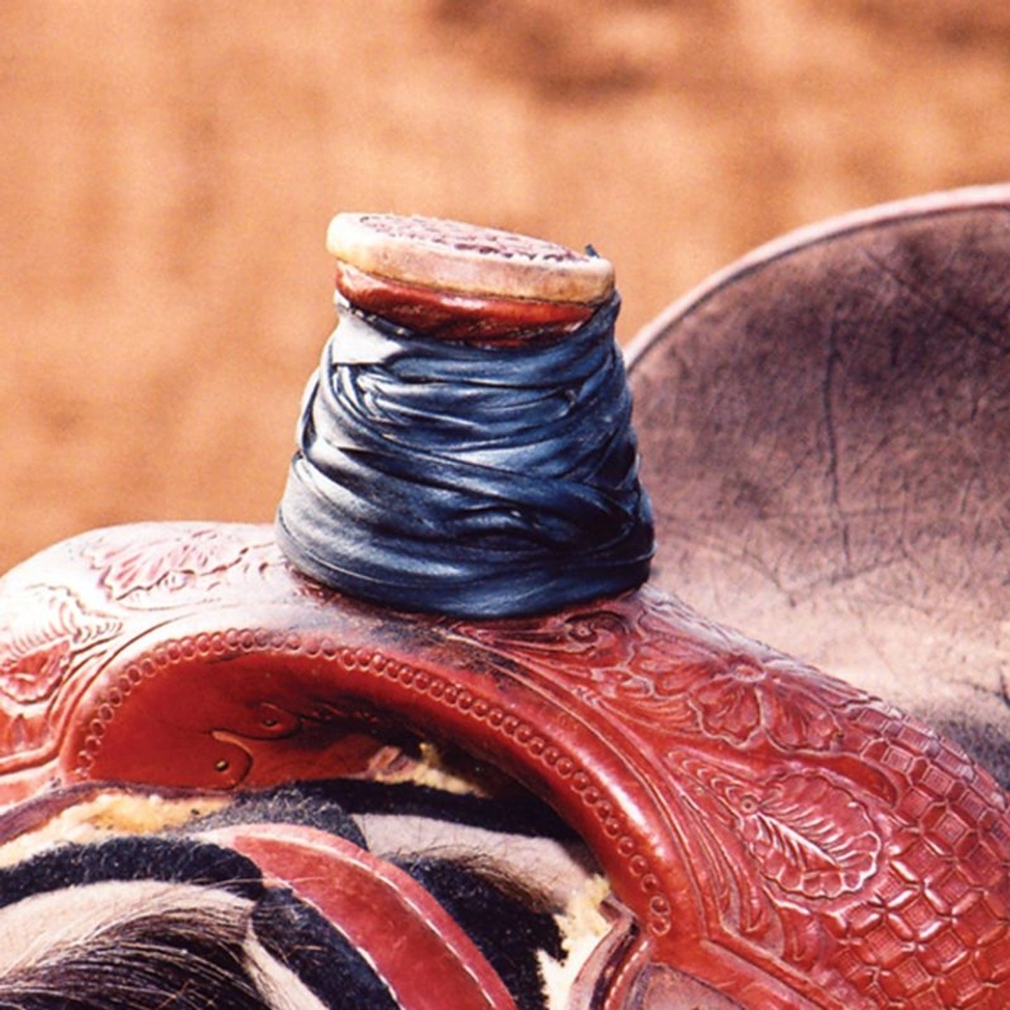 TE000537.jpg