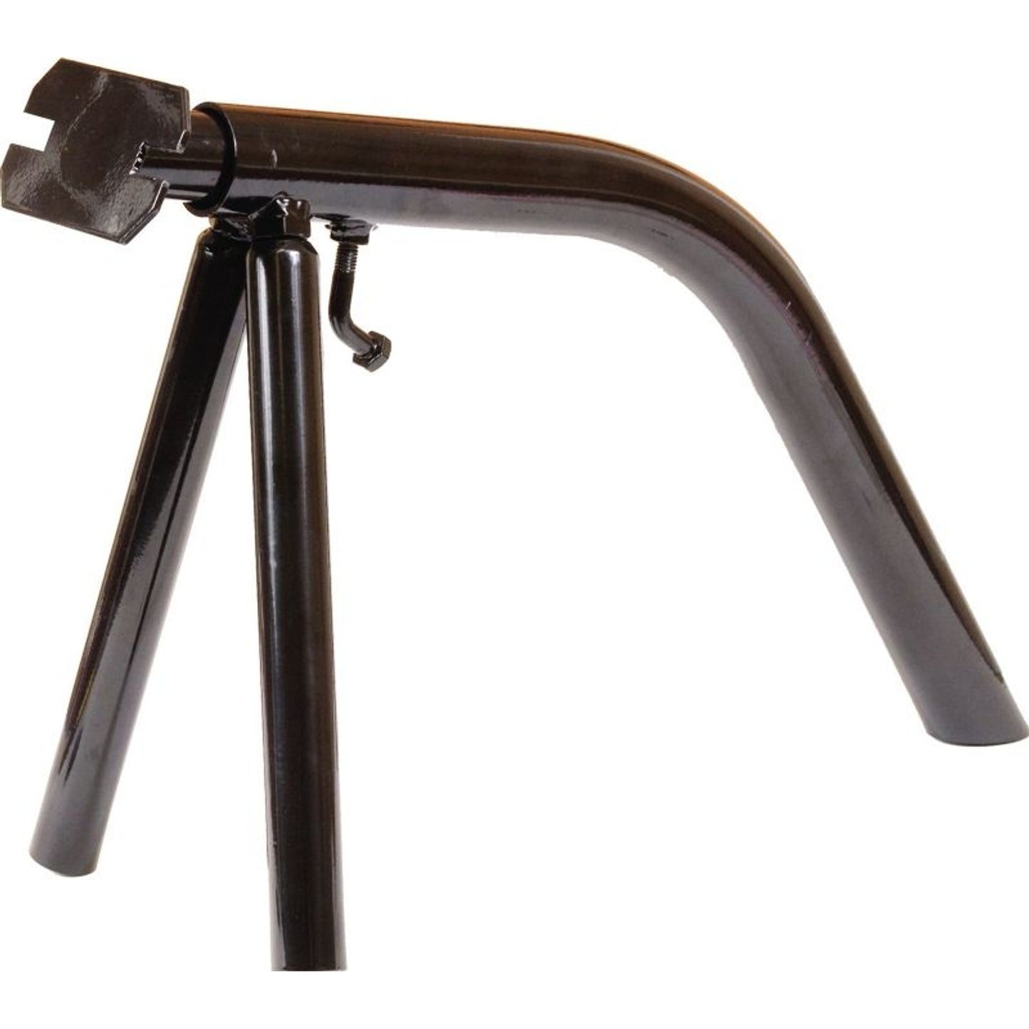 TE005649_275714.jpg