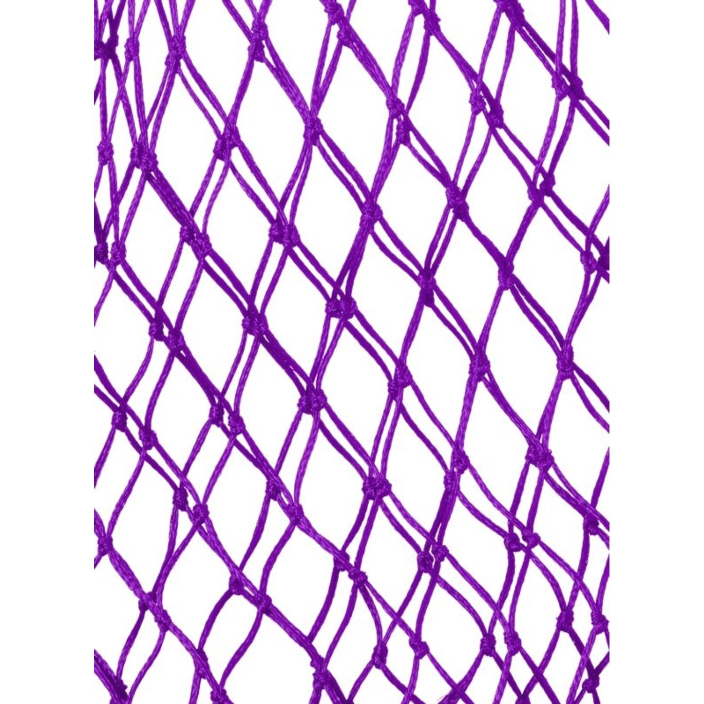 TE015626_474837_01.jpg