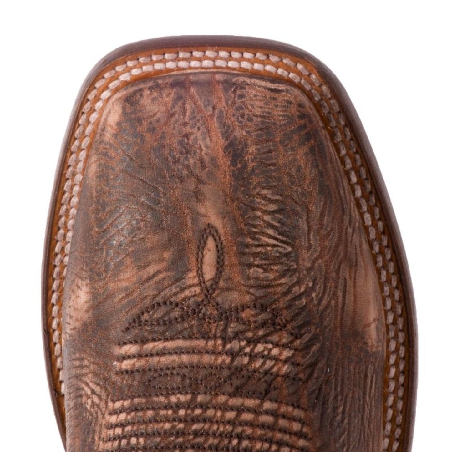 TE026940_toe.jpg
