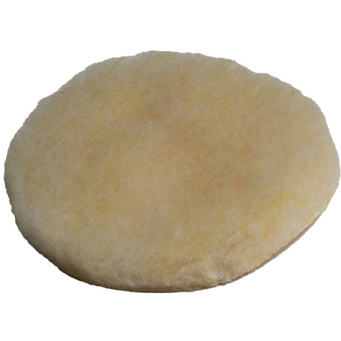 TE034380.jpg