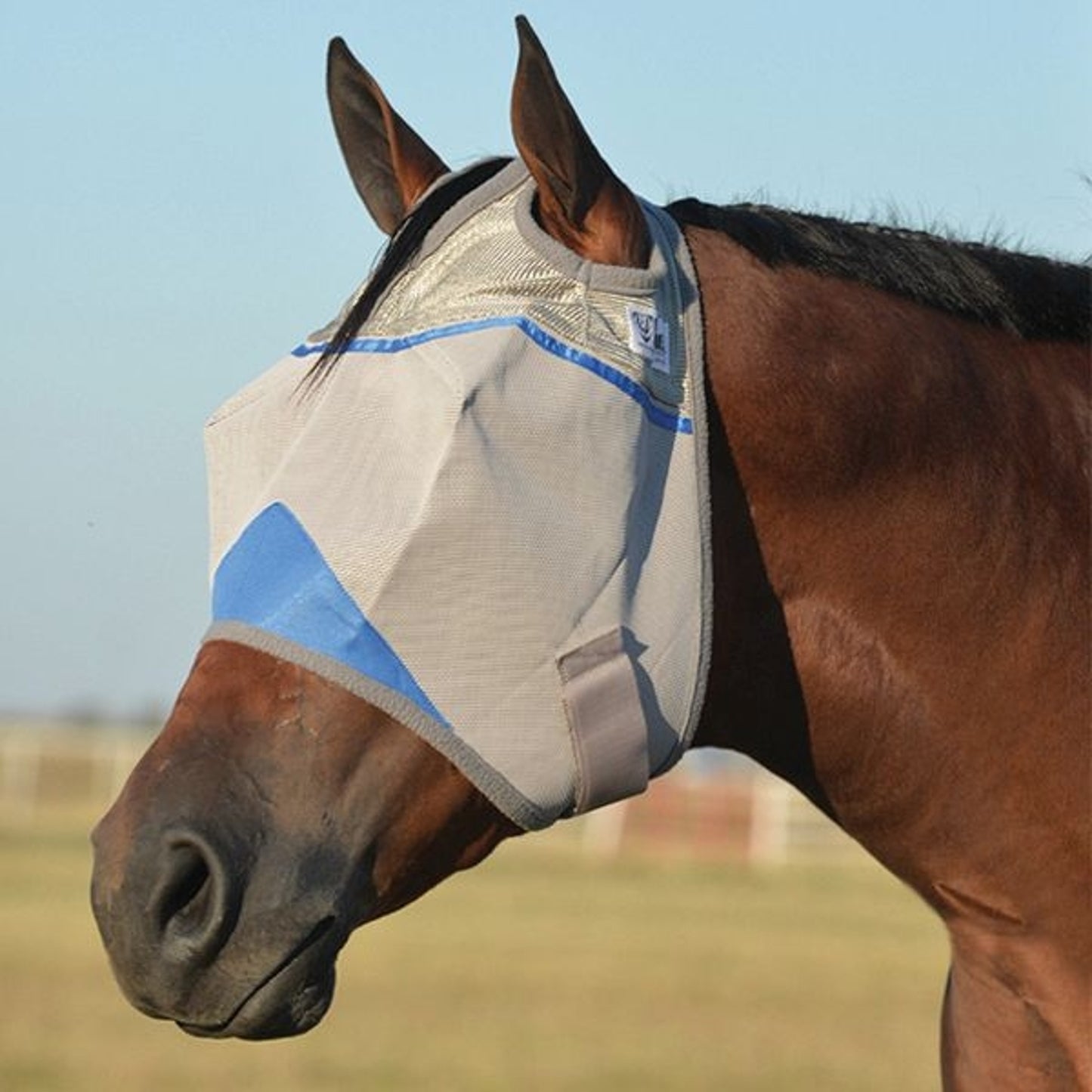 TH1231954.jpg