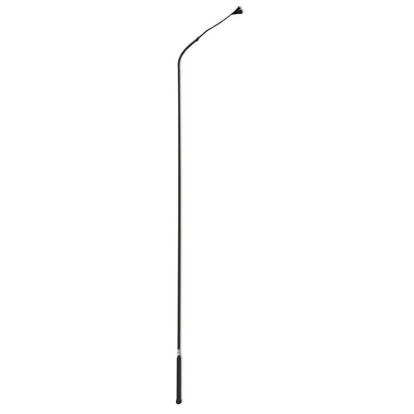 TH995259.jpg