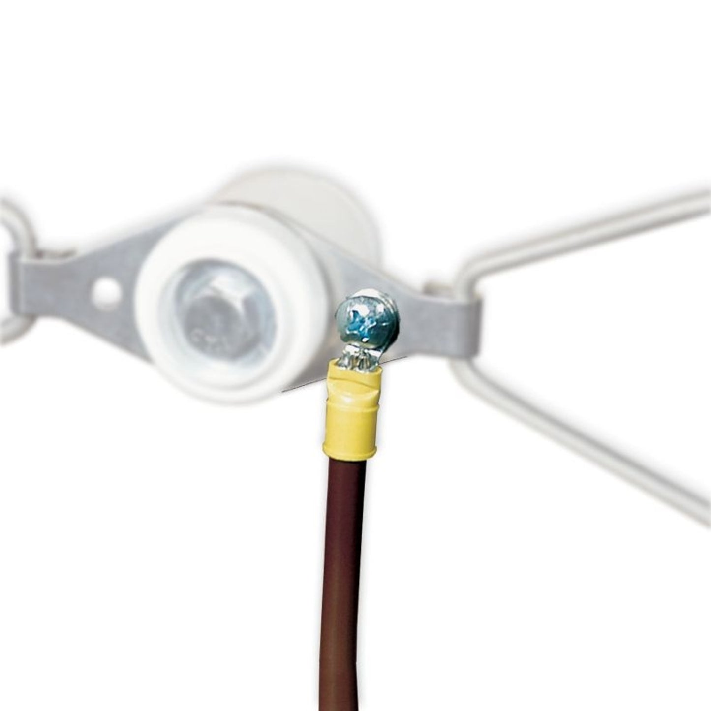 TSLT700575.jpg
