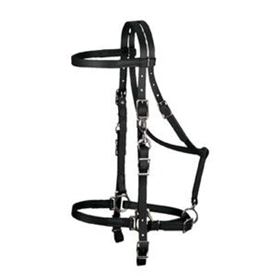 352070_black.jpg