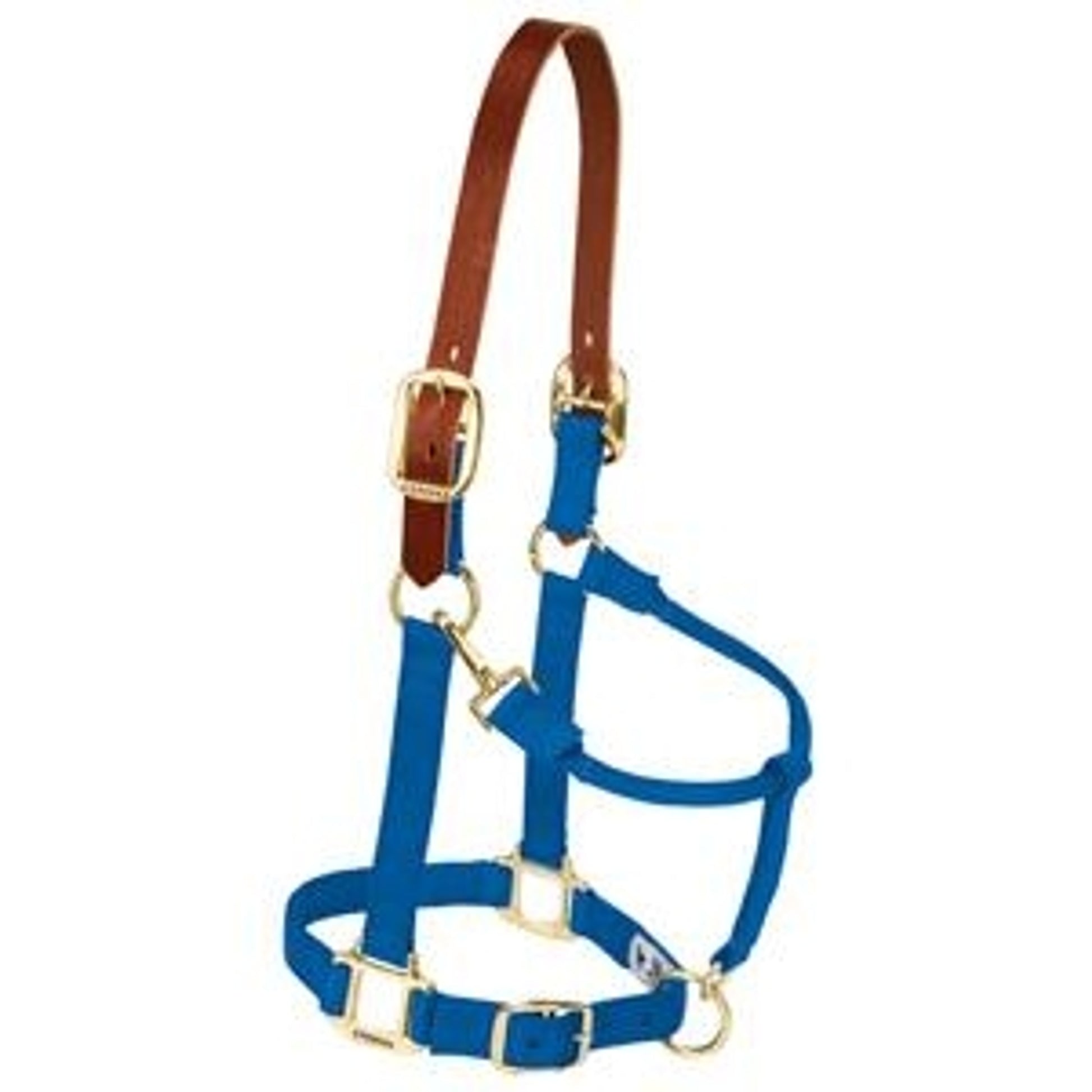 356025_blue.jpg