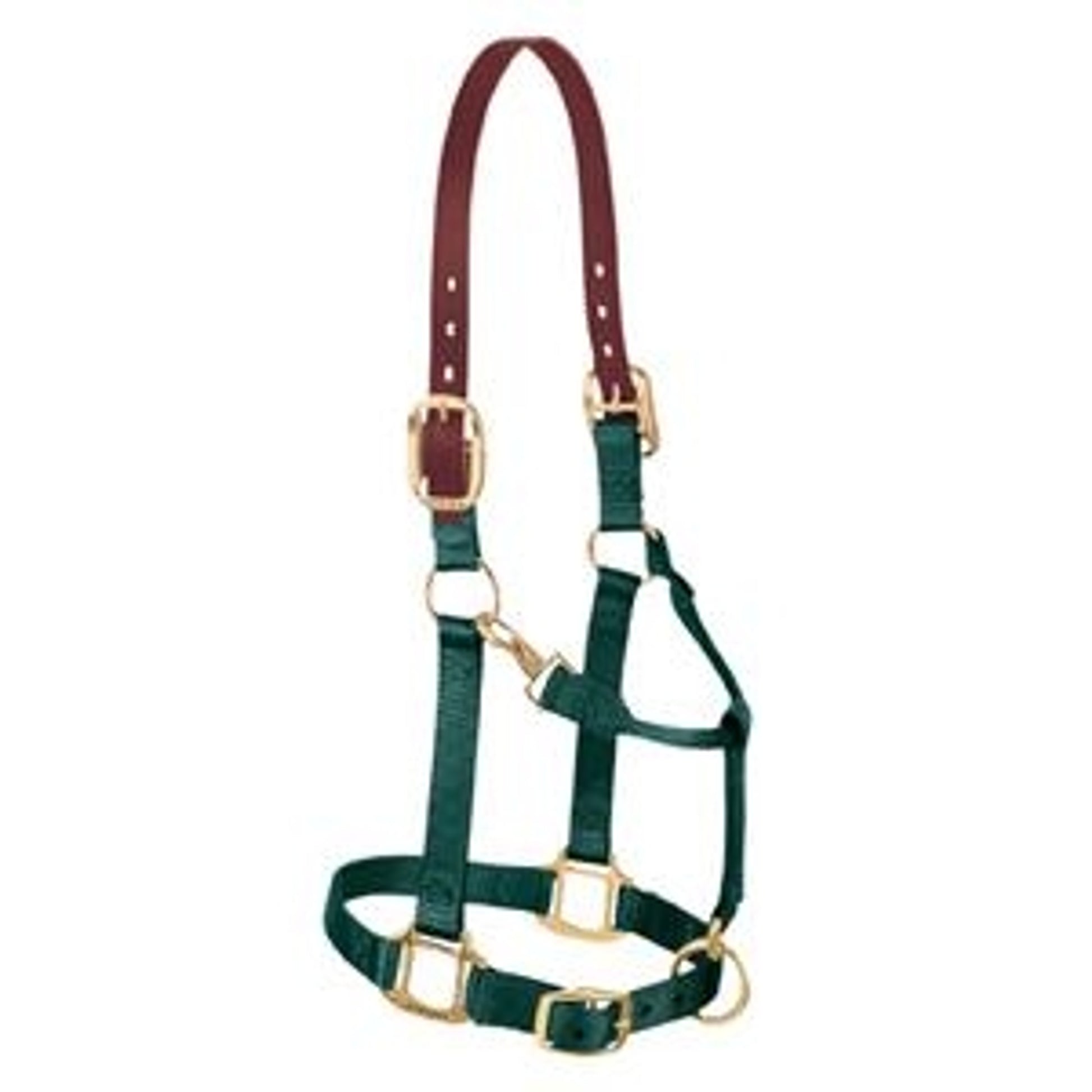 356025_hunter_green.jpg