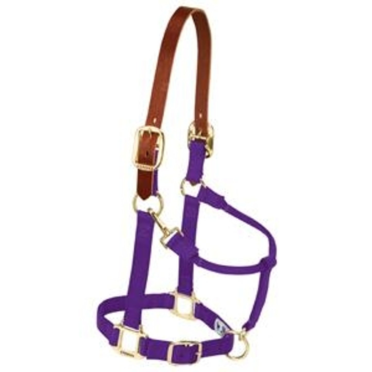 356025_purple.jpg