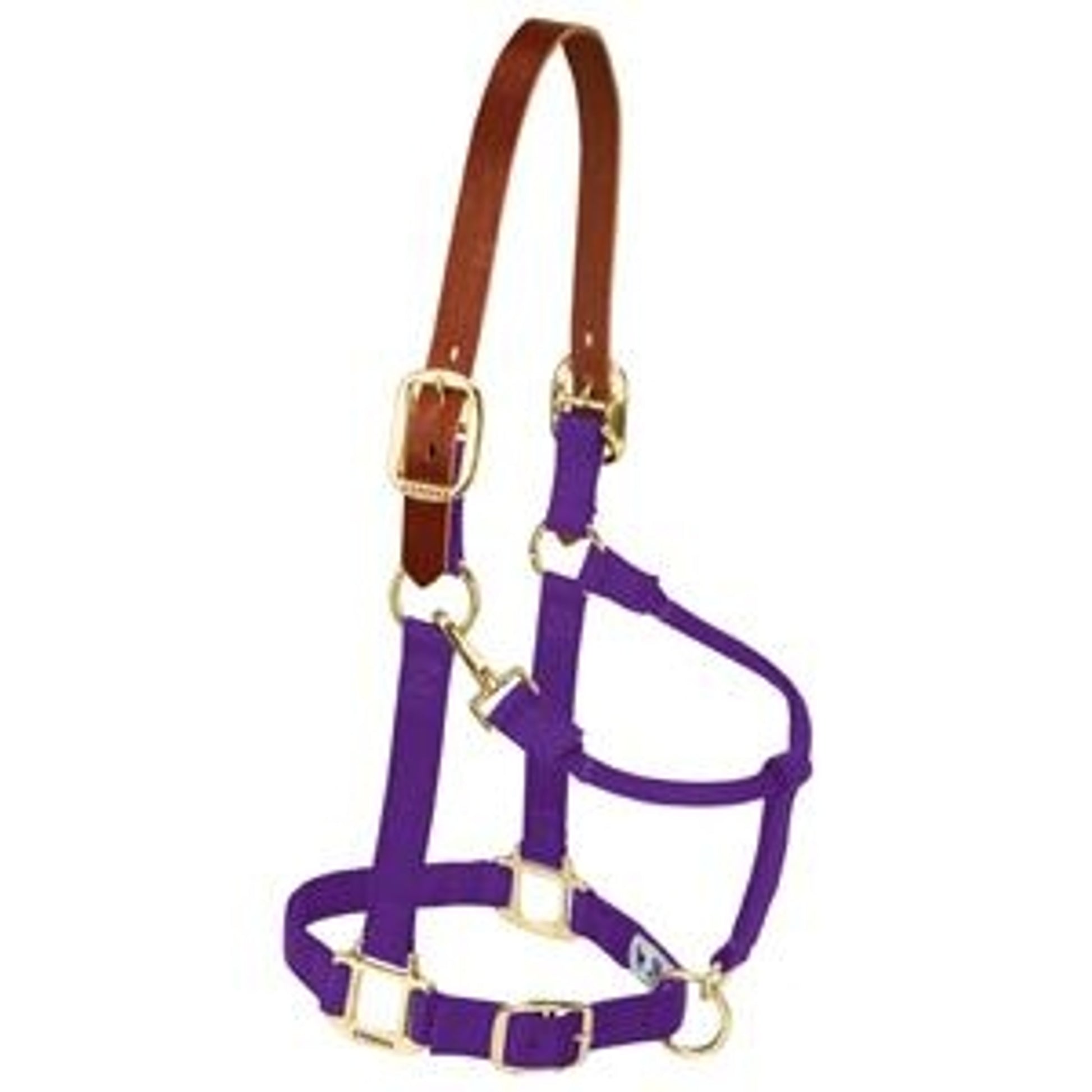 356025_purple.jpg
