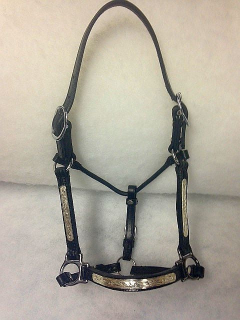 Ozark Performance Halter with Silver Mini/Pony