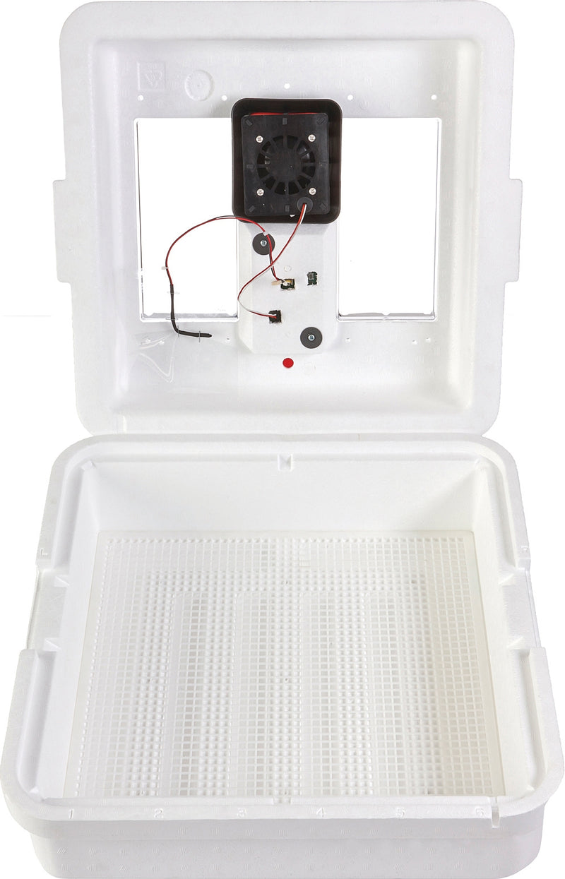 Digital Still Air Incubator
