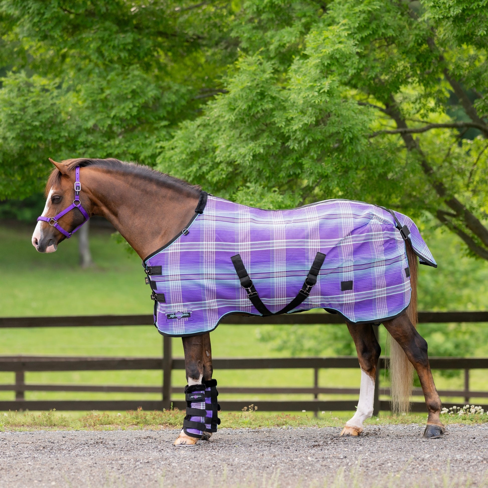 Kensington 73% UV Pony Protective Fly Sheet