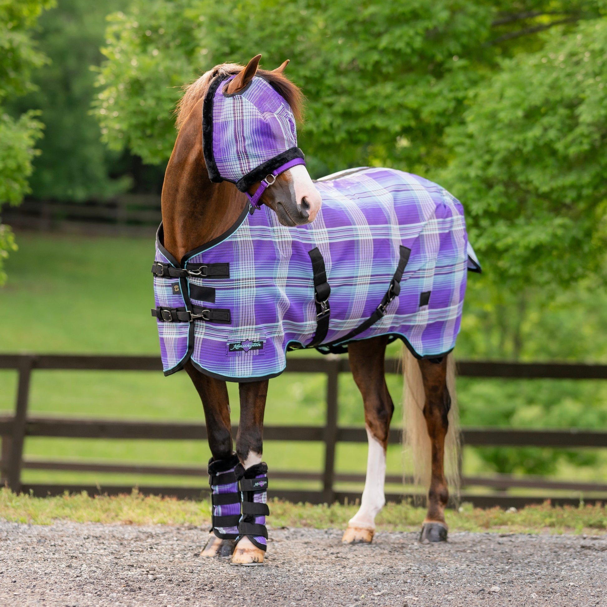 Kensington 73% UV Pony Protective Fly Sheet