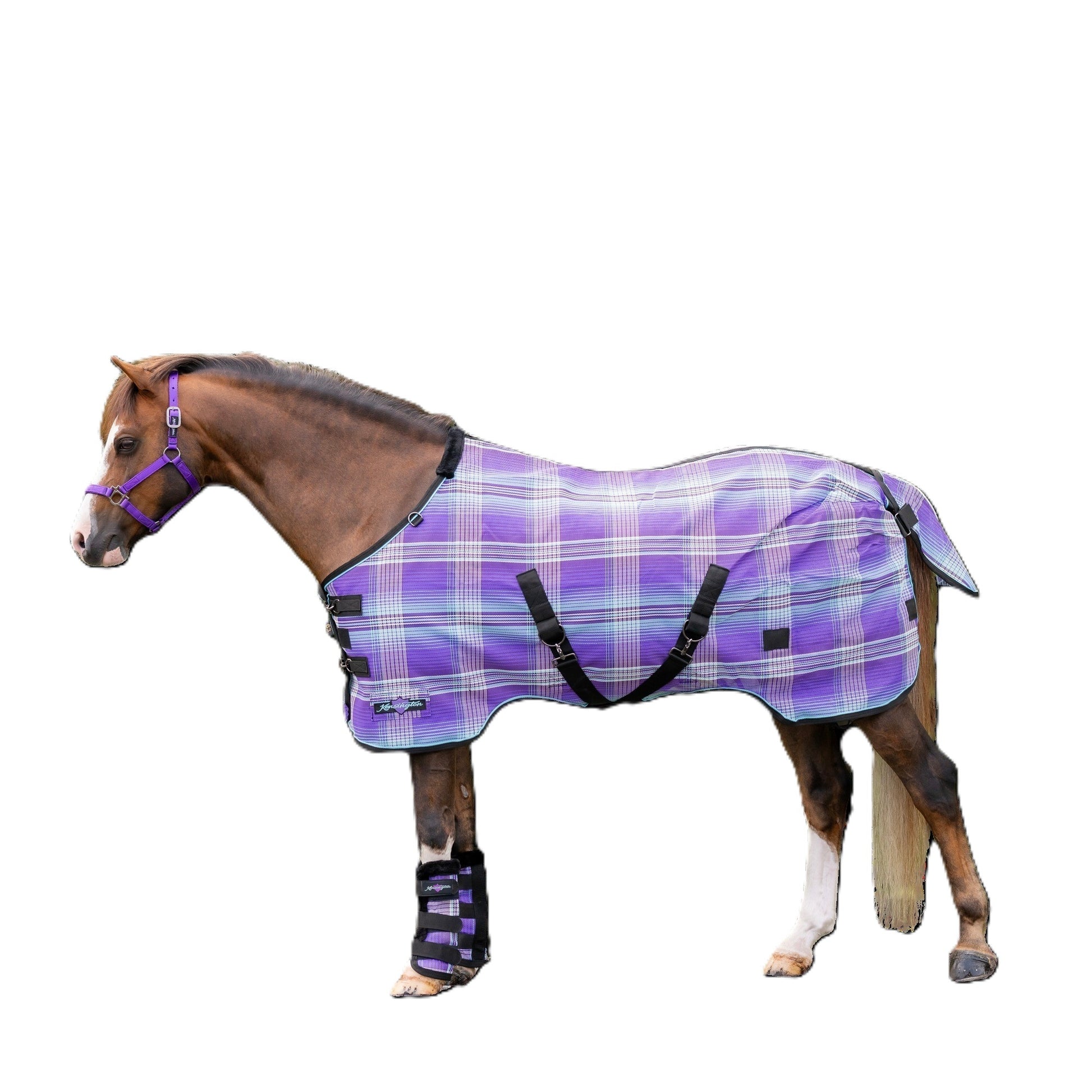Kensington 73% UV Pony Protective Fly Sheet