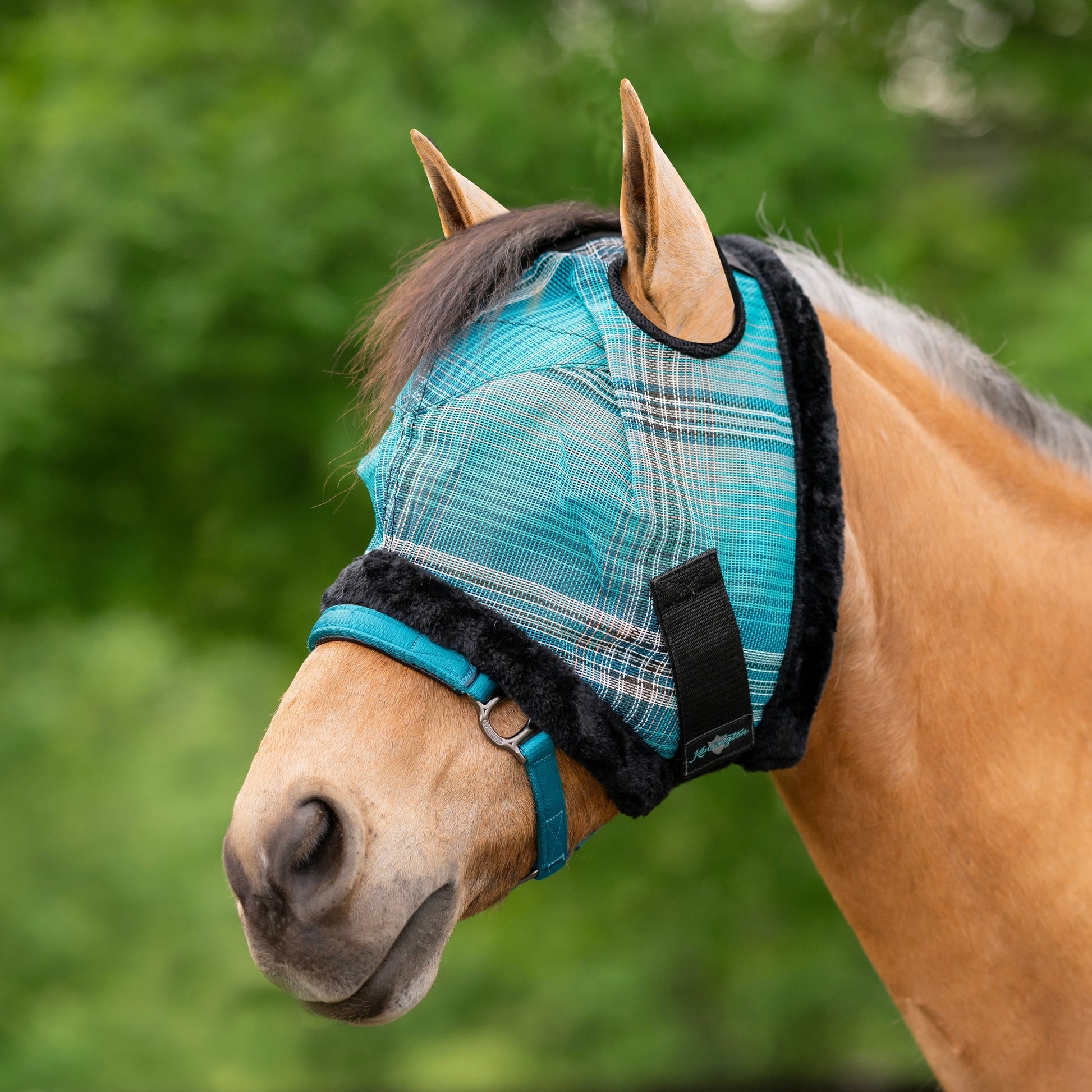 Kensington Pony Fly Mask with Fleece