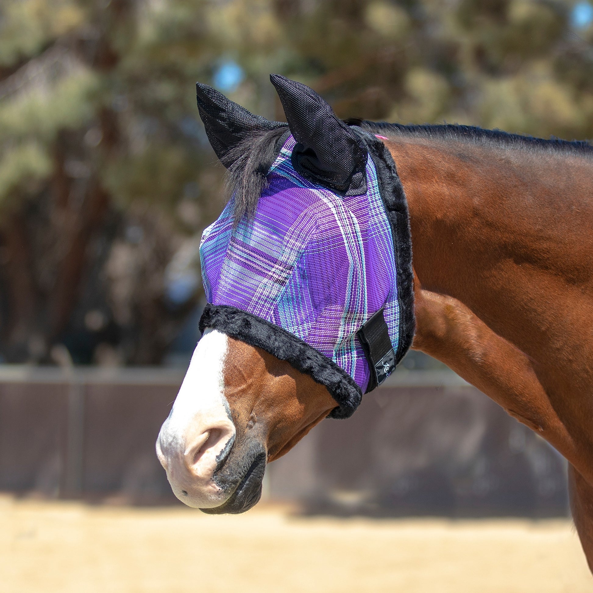 Kensington Fly Mask Fleece Ears