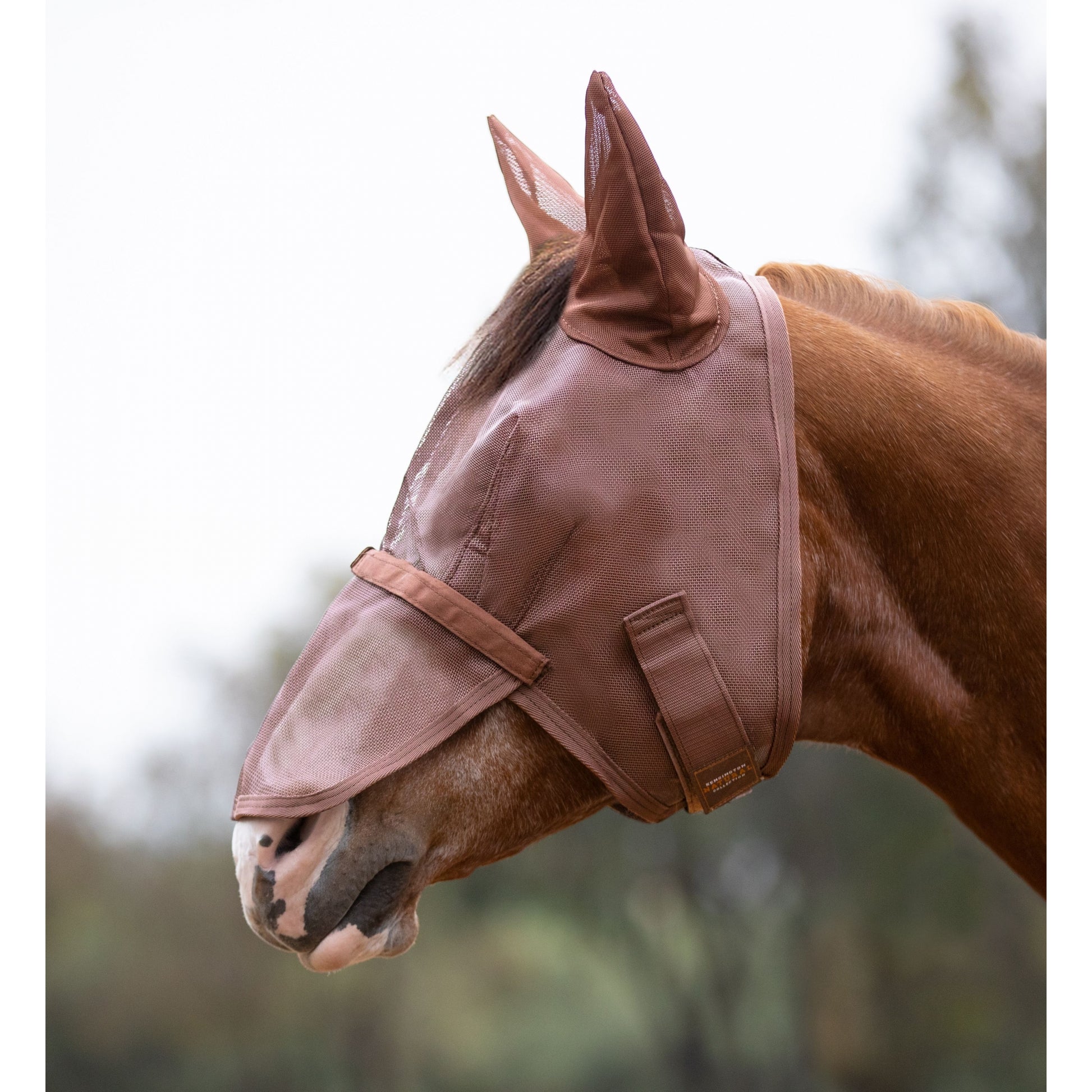 Kensington Mask with Nose and Ears