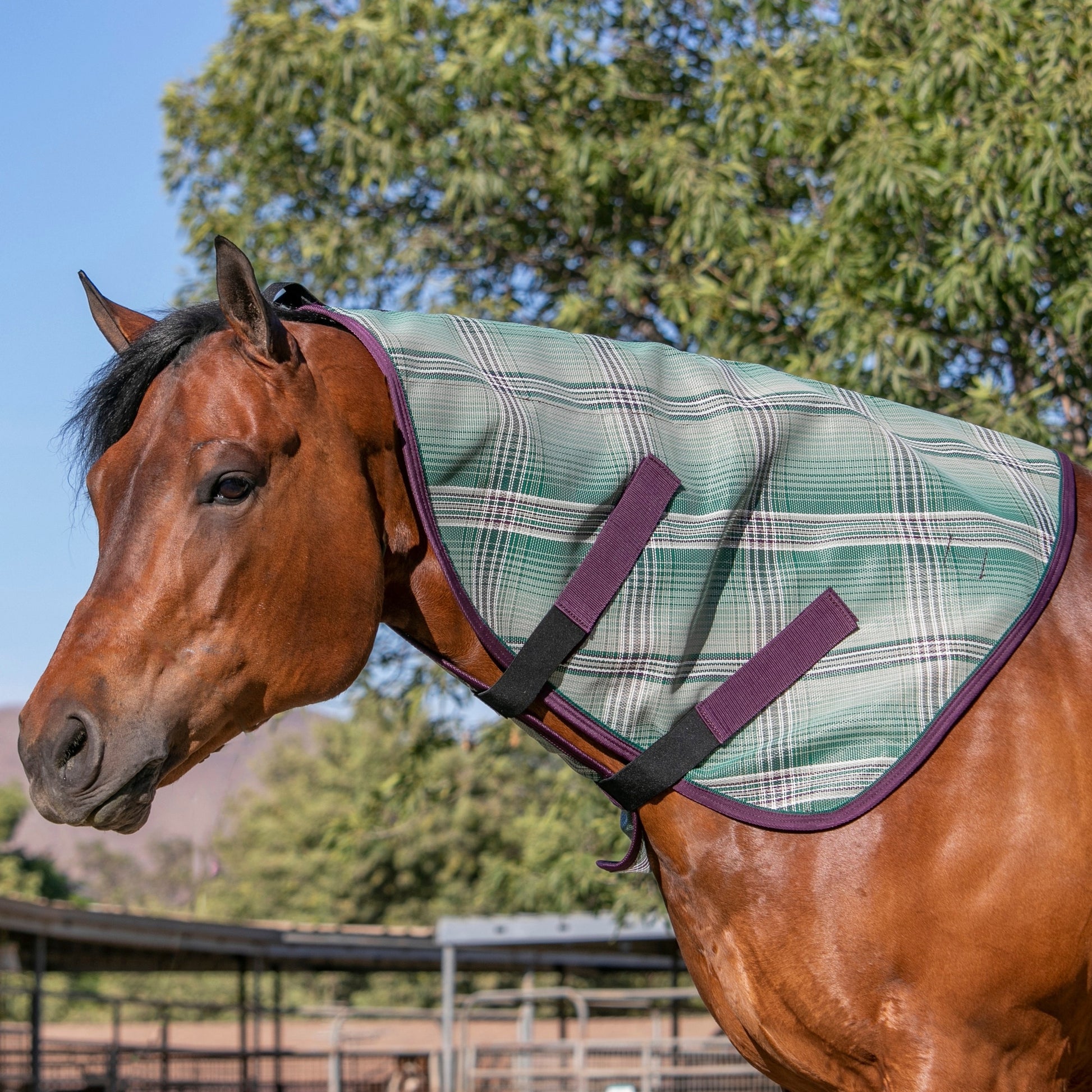Kensington Protective Fly Neck Cover