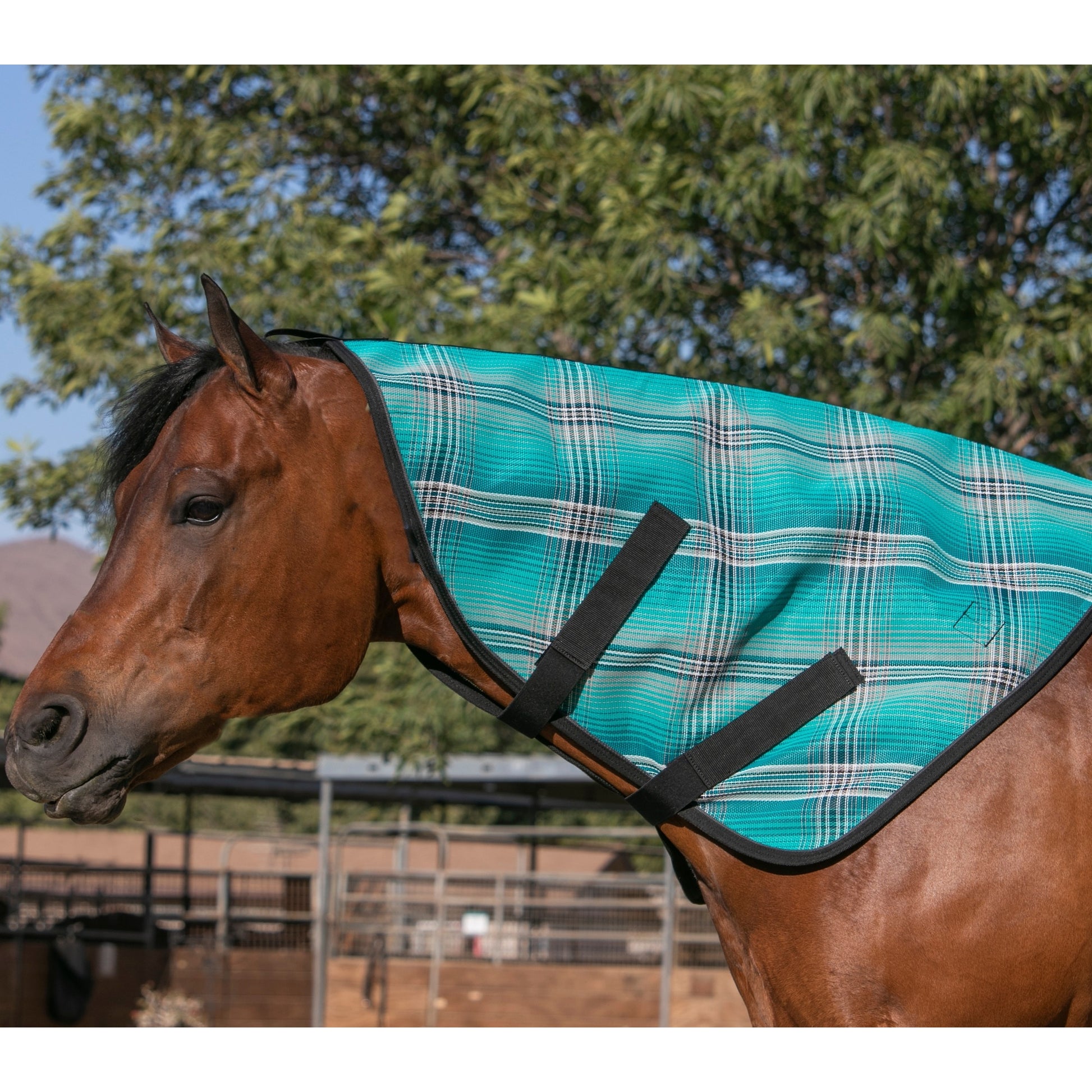 Kensington Protective Fly Neck Cover