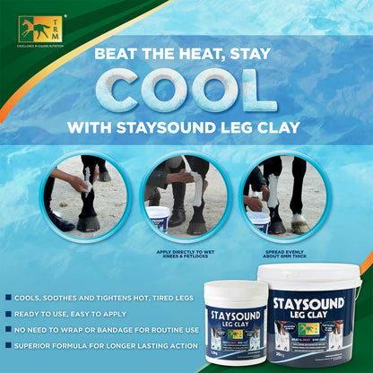 TRM Staysound Leg Clay