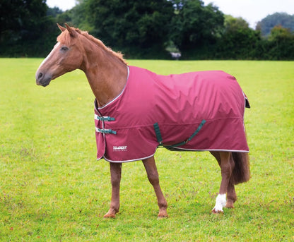 Shires Tempest Original 200g TO