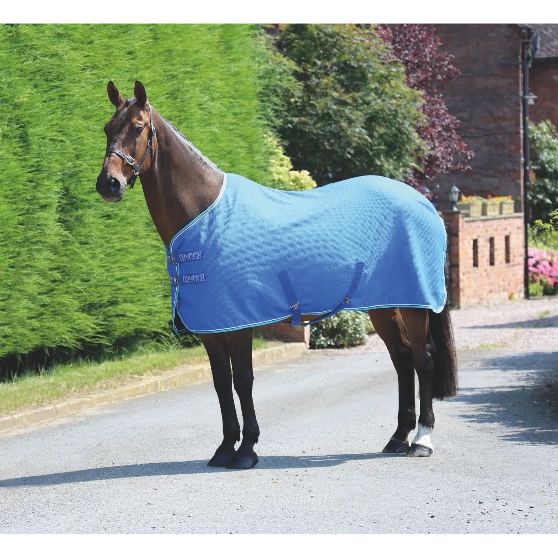 Shires Tempest Original Waffle Blanket