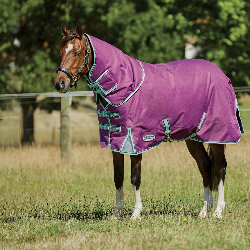 WB Premier Freedom Pony DAN Lite