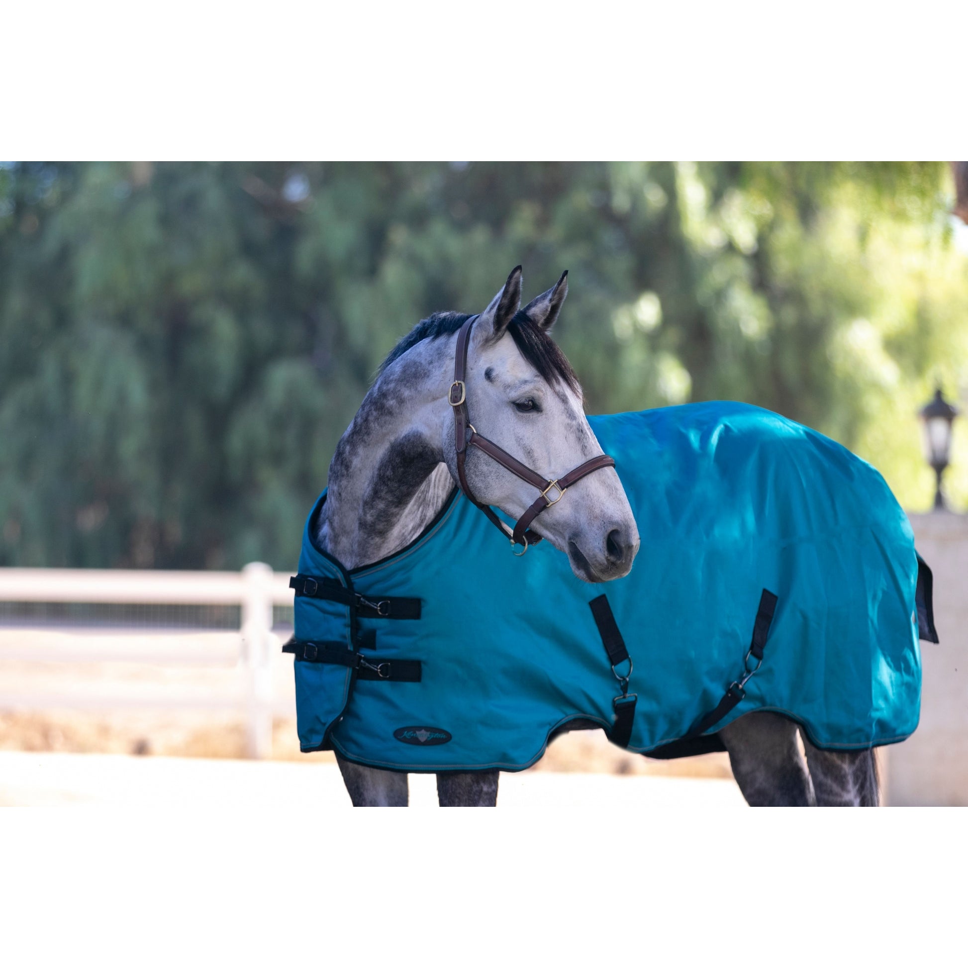 Kensington 1200D Turnout 180g