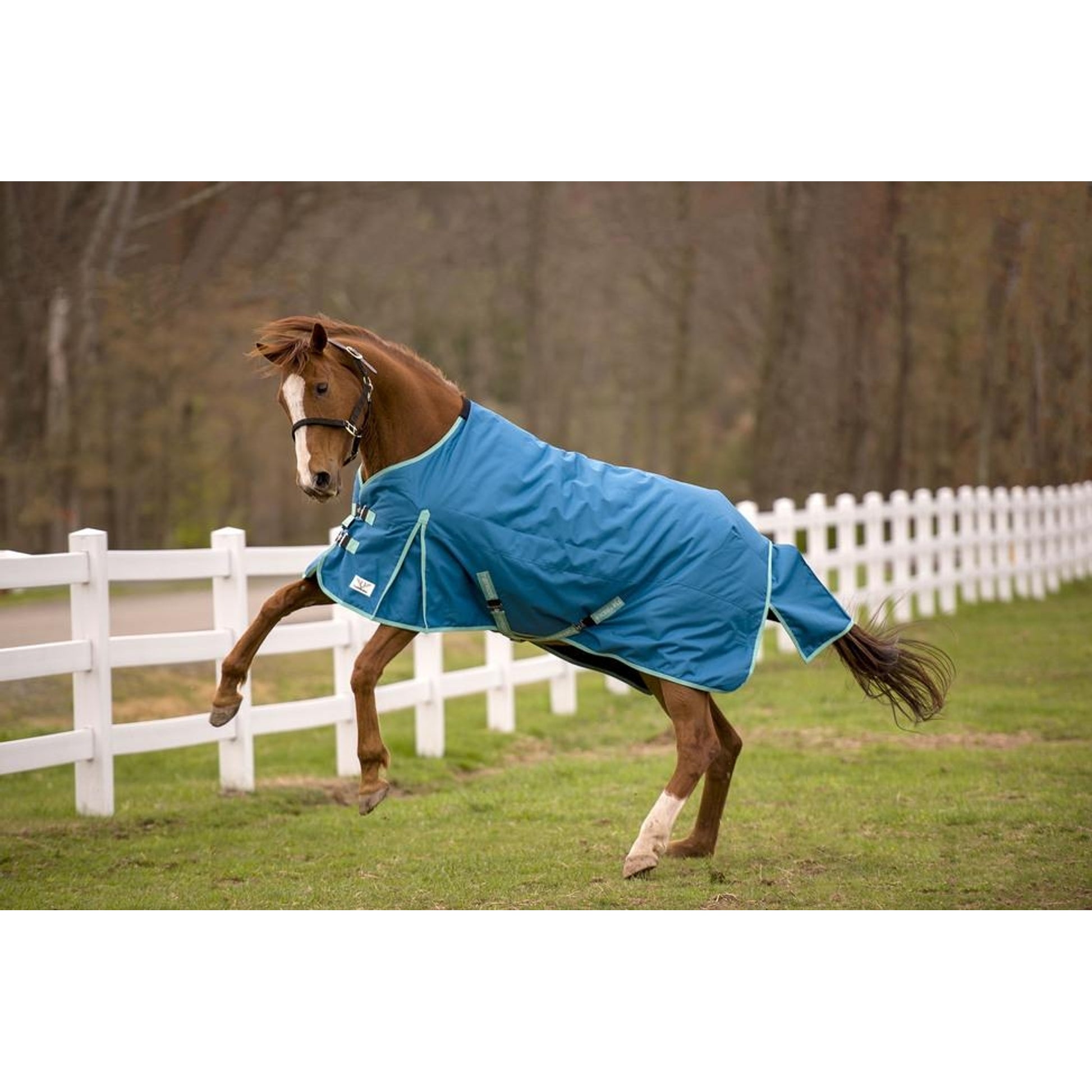TuffRider EcoRider Standard Neck Turnout Sheet