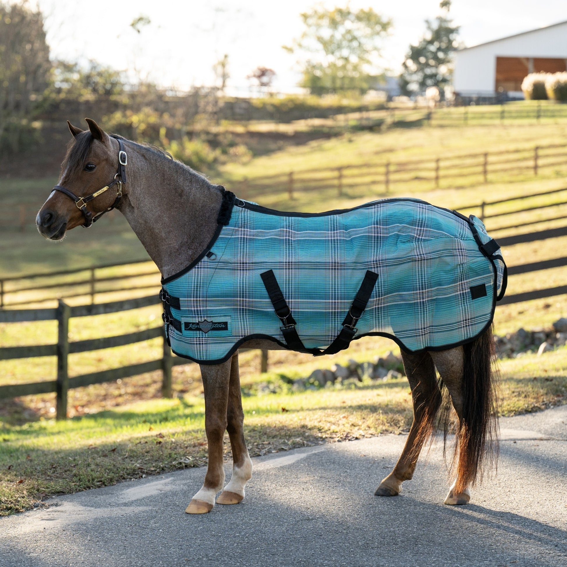 Kensington 73% UV Pony Protective Fly Sheet