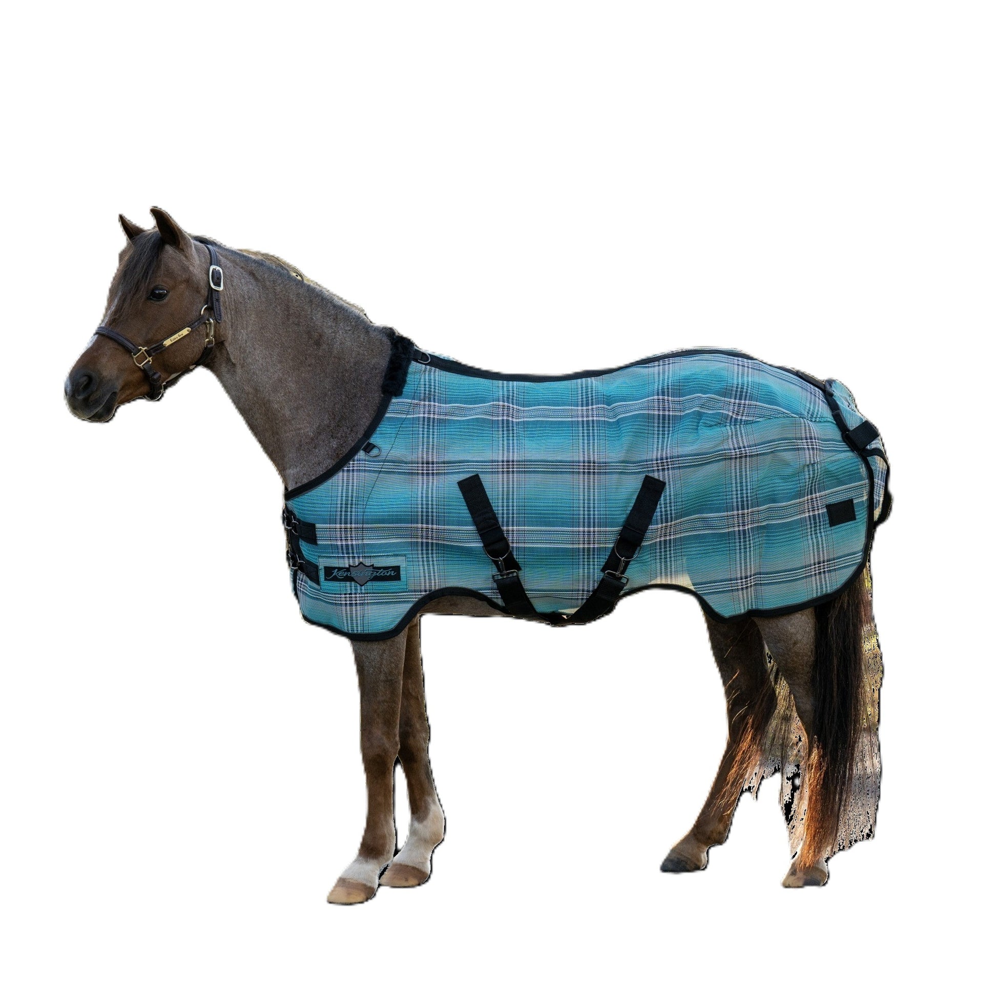 Kensington 73% UV Pony Protective Fly Sheet
