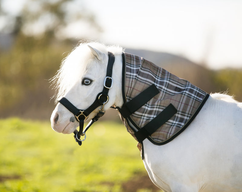 Kensington Pony Protective Neck Piece