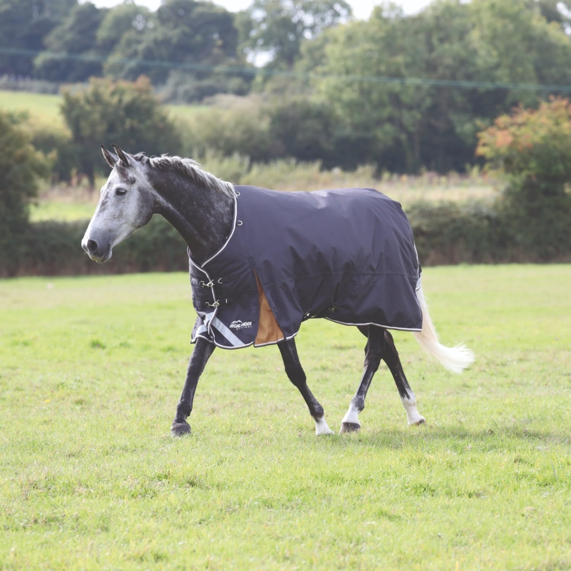 4-352062-grey.jpg