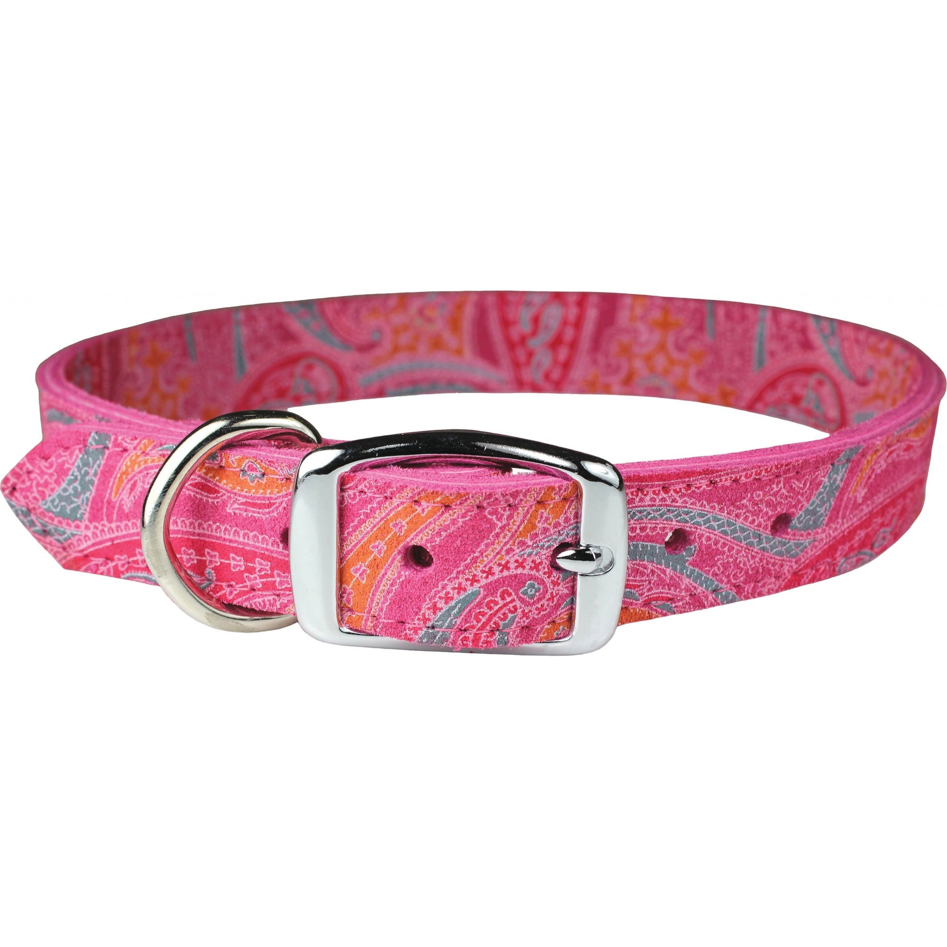 Paisley Collection Dog Collar