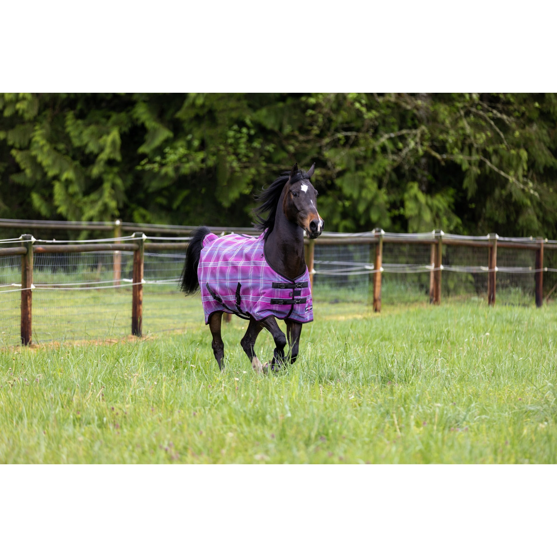 Kensington 73% UV Pony Protective Fly Sheet