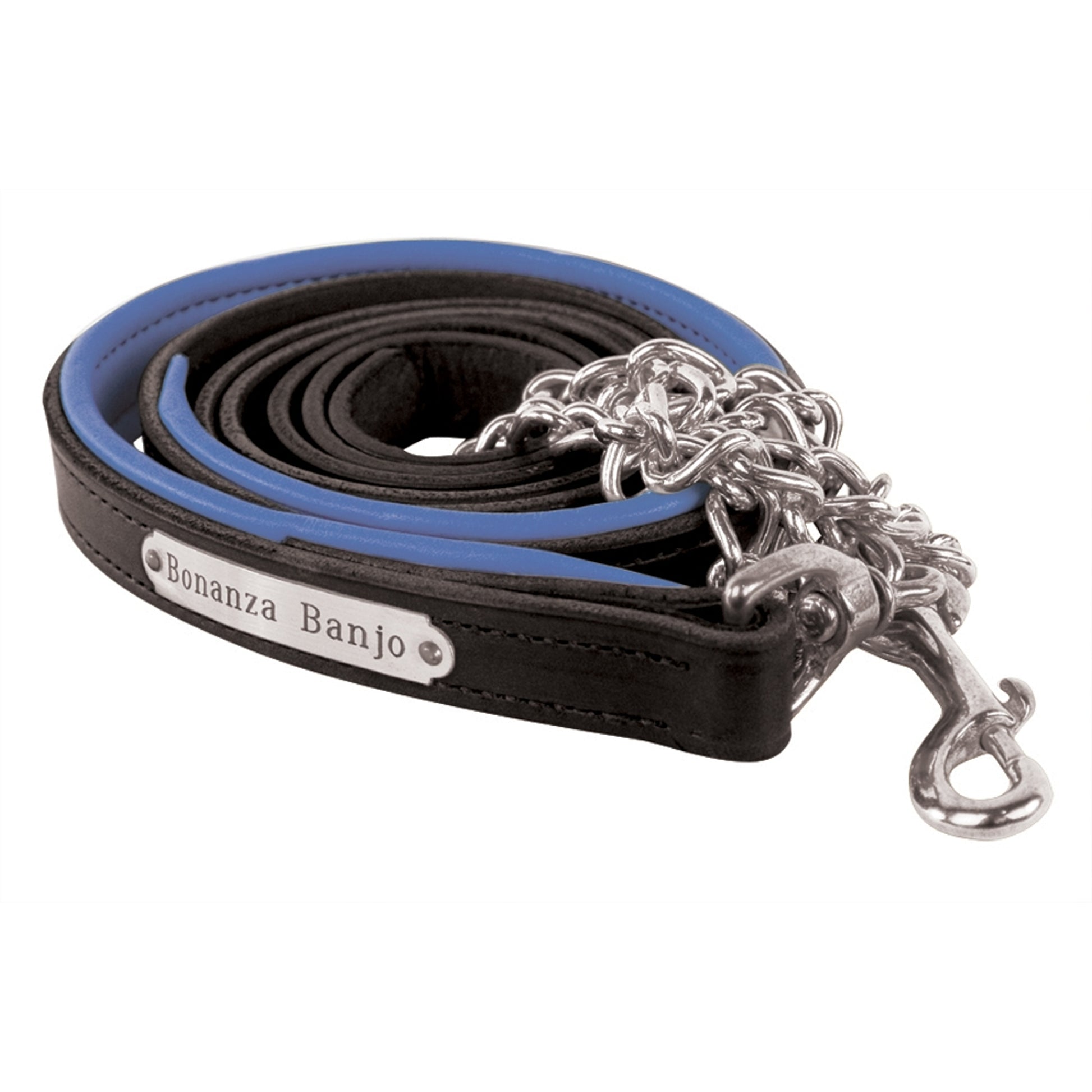 Perri's Personalized Padded Leather Lead with Chain
